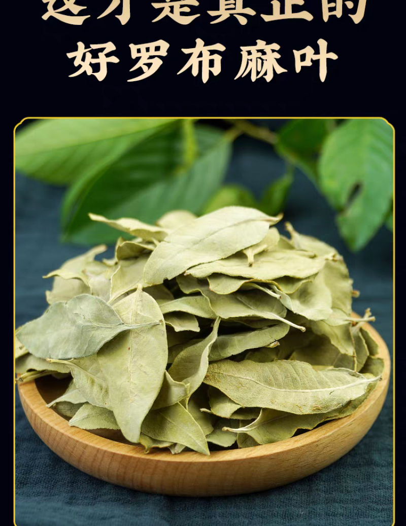 包邮）中药材天然罗麻布罗布麻叶罗布麻叶500克