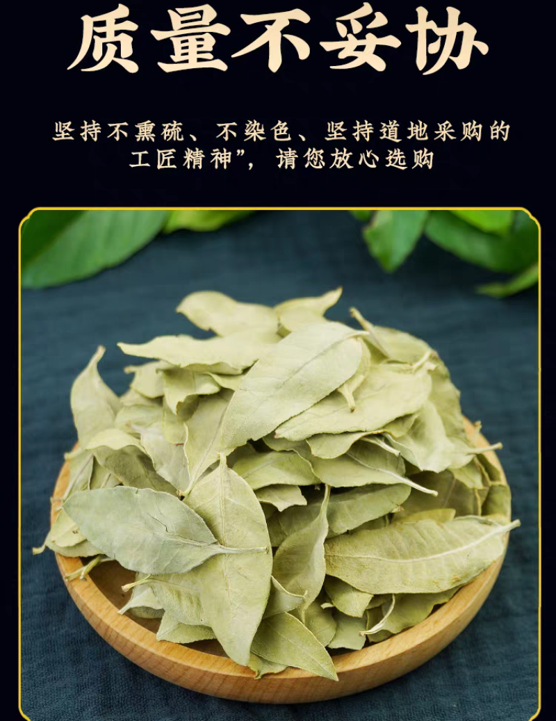 包邮）中药材天然罗麻布罗布麻叶罗布麻叶500克