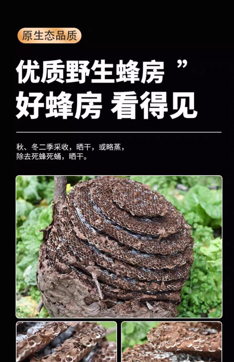 （包邮）正品野生露蜂房马蜂窝巢煮水中药材500g
