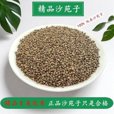 正宗沙苑子中药材正品天然沙苑子男士泡茶泡水沙菀子