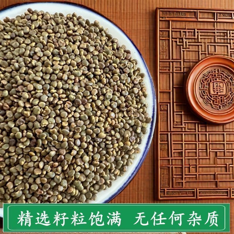 正宗沙苑子中药材正品天然沙苑子男士泡茶泡水沙菀子