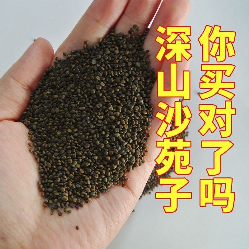 正宗沙苑子枸杞茶新货野生蒺藜沙苑子茶泡水泡茶