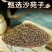 正宗沙苑子枸杞茶新货野生蒺藜沙苑子茶泡水泡茶