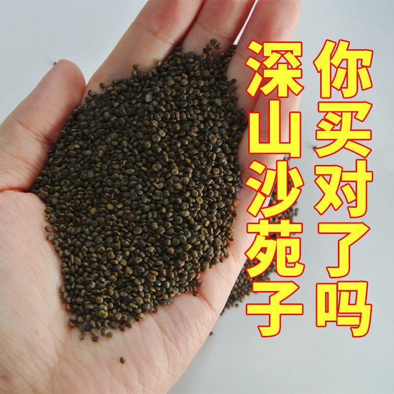 正宗沙苑子枸杞茶新货野生蒺藜沙苑子茶泡水泡茶