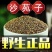 正宗沙苑子枸杞茶新货野生蒺藜沙苑子茶泡水泡茶