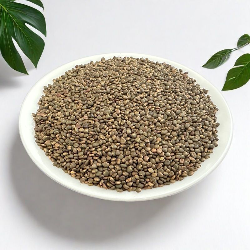正宗沙苑子枸杞茶新货野生蒺藜沙苑子茶泡水泡茶