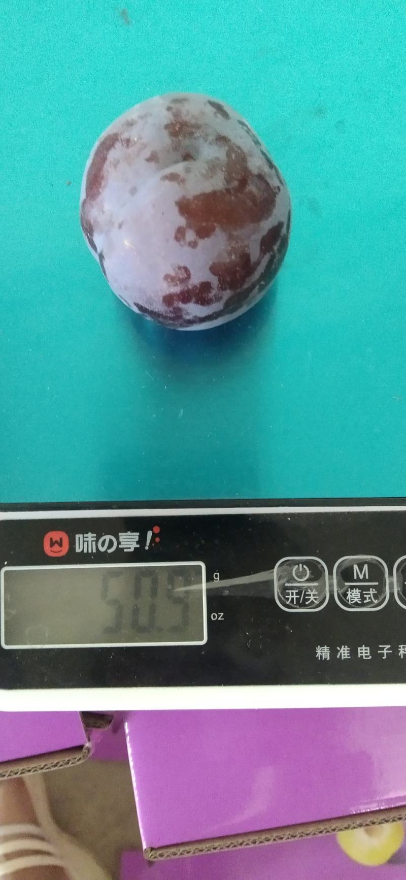 50万斤，五月脆