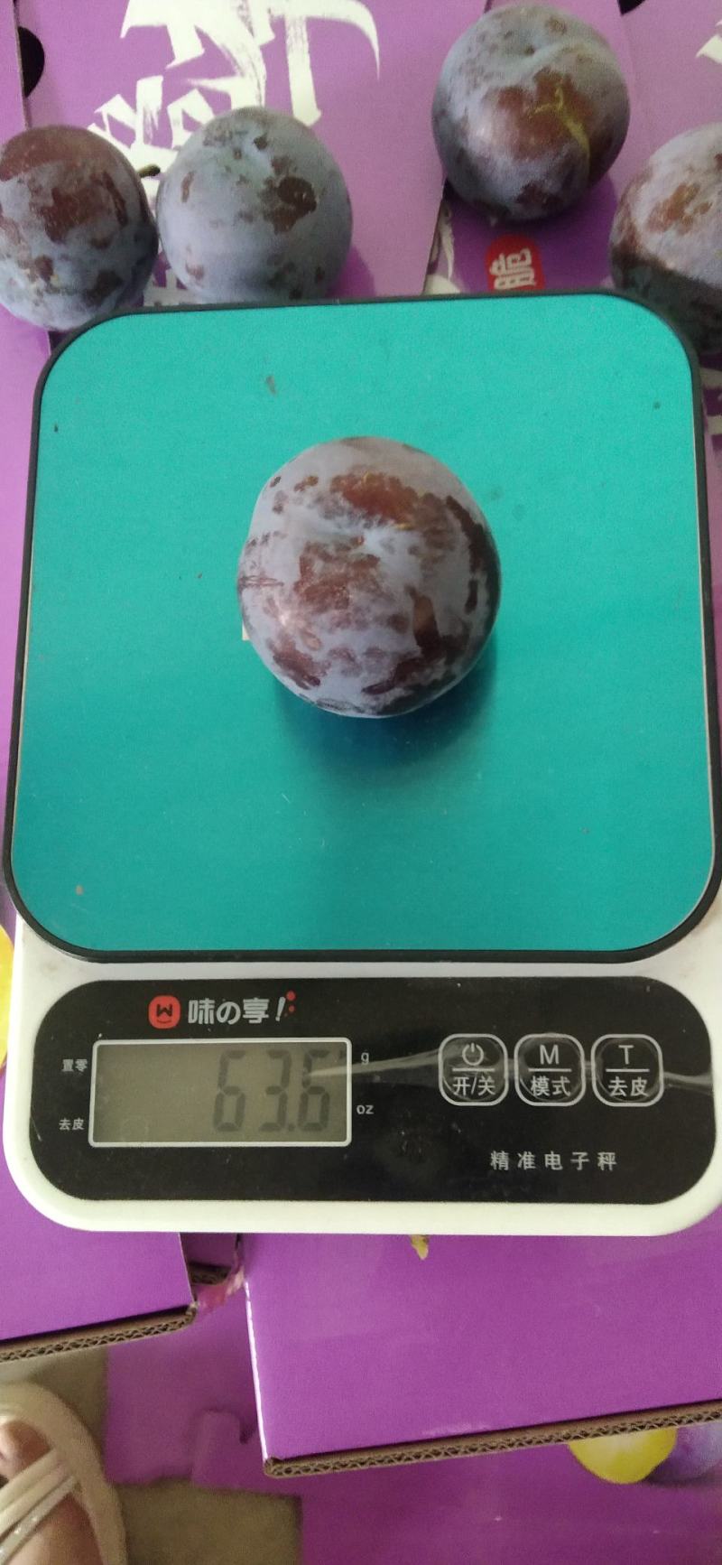 50万斤，五月脆