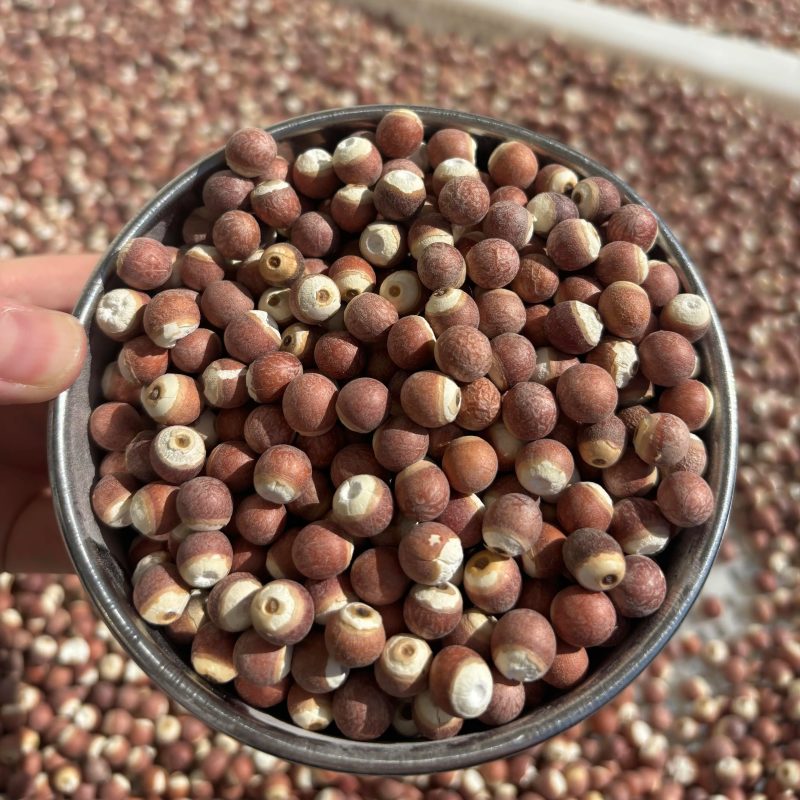 芡实干货新货不熏硫芡实欠实广东肇庆鸡头米煲汤煮粥量大优惠