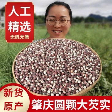 新货芡实干货特级芡实中药材新鲜鸡头米煲汤红豆薏米量大优惠