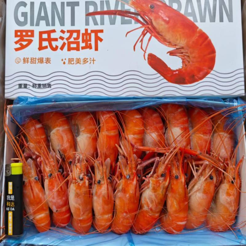 罗氏沼虾，罗氏虾