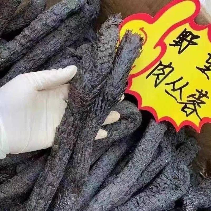 野生油苁蓉，内蒙肉苁蓉，***软苁蓉足干可切片无硫熏包邮
