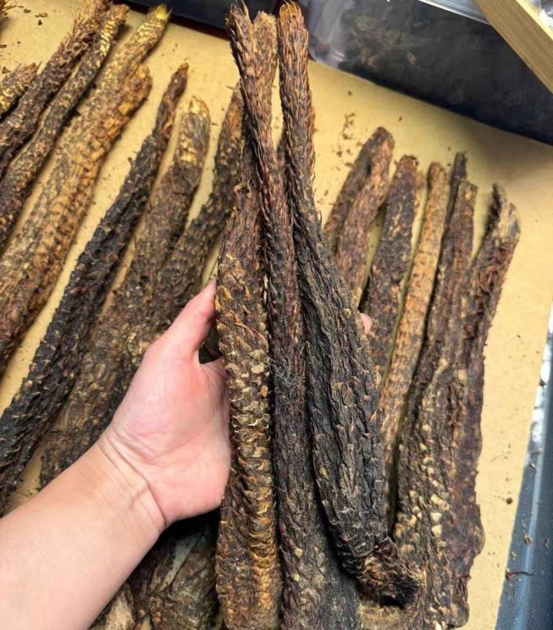 野生油苁蓉，内蒙肉苁蓉，***软苁蓉足干可切片无硫熏包邮
