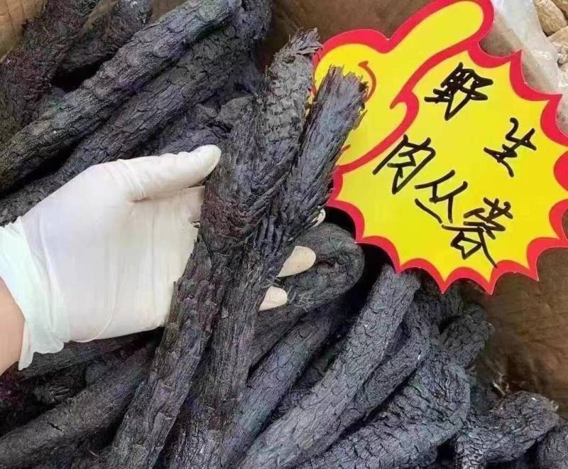野生油苁蓉，内蒙肉苁蓉，***软苁蓉足干可切片无硫熏包邮