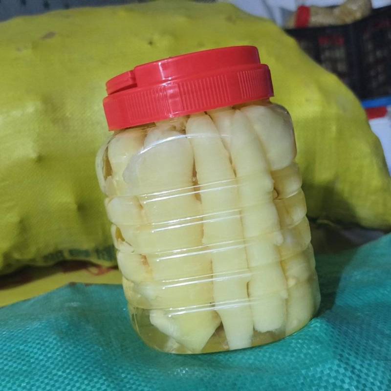 各种新鲜嫩姜，泡姜手工泡菜