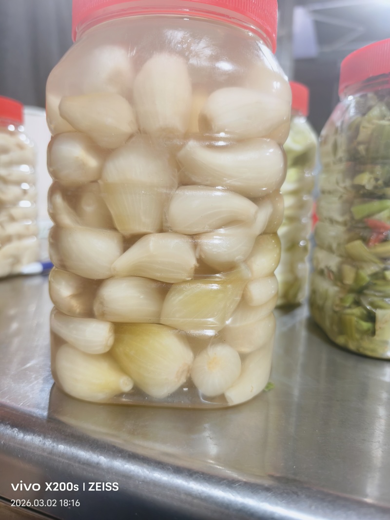 各种新鲜嫩姜，泡姜手工泡菜