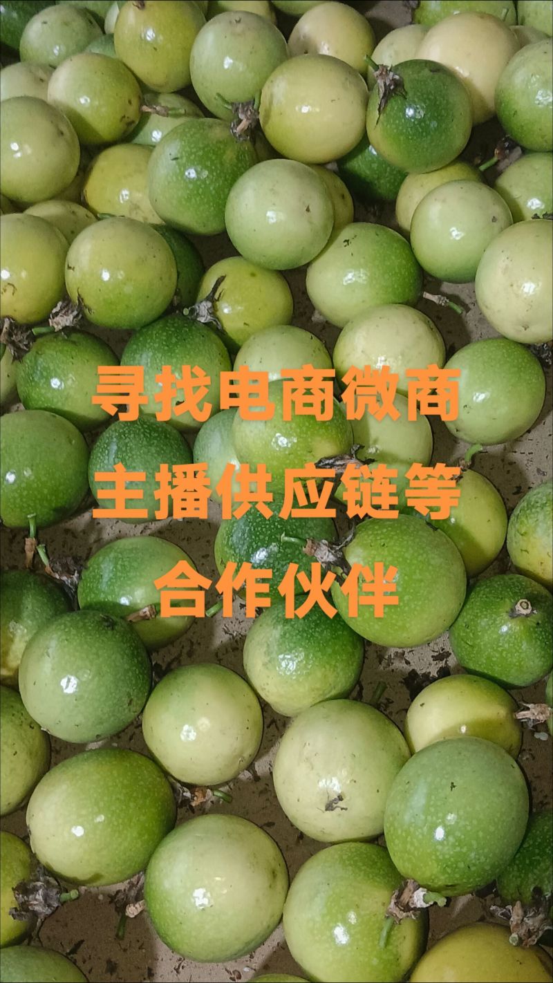 广西百香果钦蜜9号，寻找有实力团队合作可实地考察
