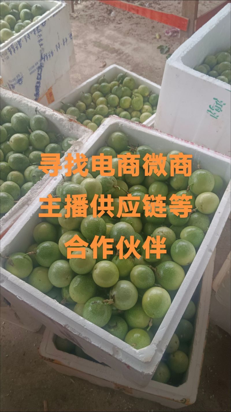 广西百香果钦蜜9号，寻找有实力团队合作可实地考察