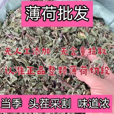 野生薄荷晒干薄荷泡水泡茶薄荷叶天然食用通用