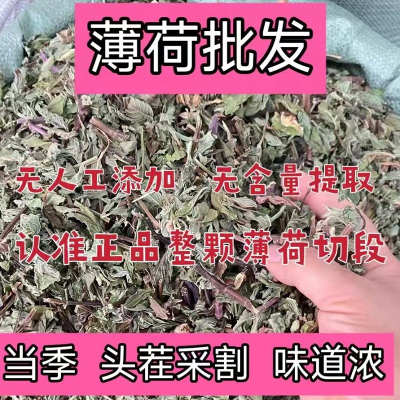 野生薄荷晒干薄荷泡水泡茶薄荷叶天然食用通用