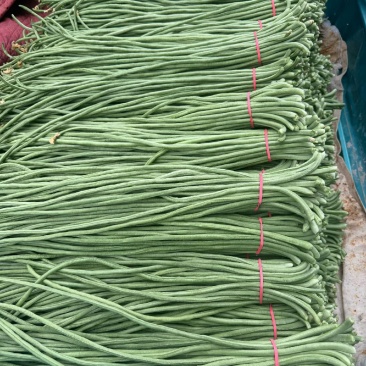 青条豆角精品豆角长豆角缸豆