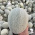 小蜜25渠道靓货继续供货中