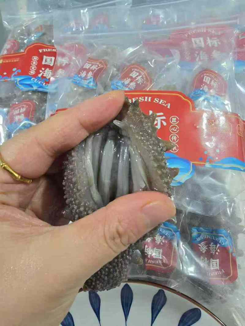 辽参即食鲜食海参6-10头餐饮电商批发