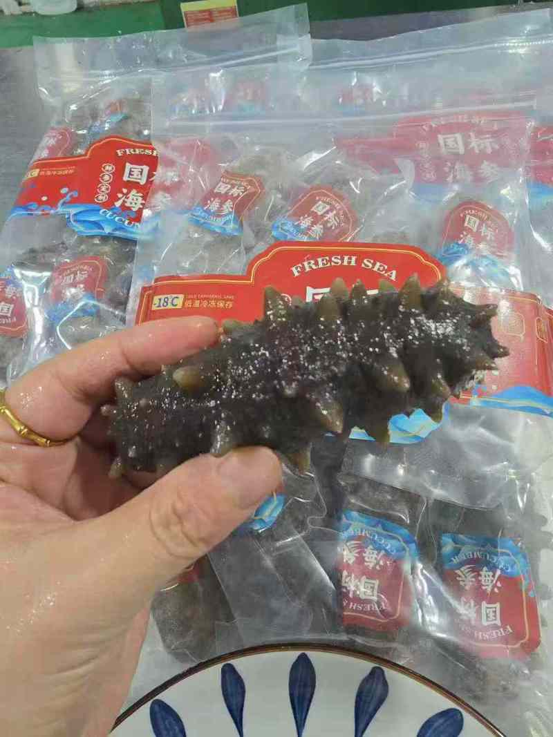 辽参即食鲜食海参6-10头餐饮电商批发