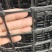 7-9年的塑料围栏网养鸡圈地围栏，便宜好用