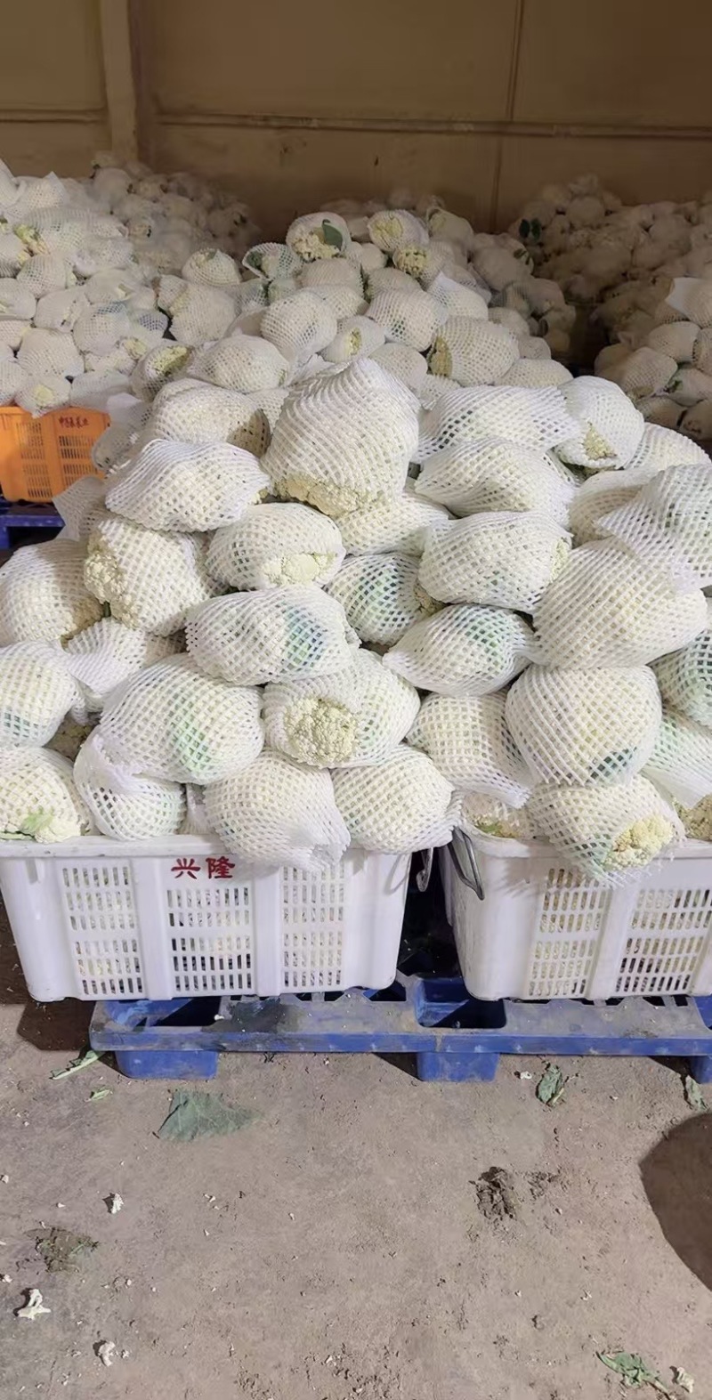 精品有机花