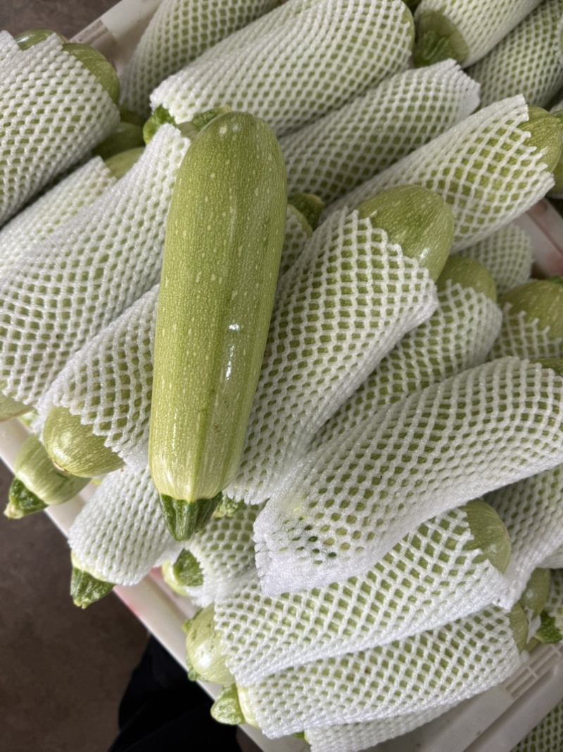 西葫芦
