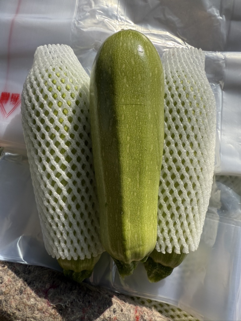 西葫芦