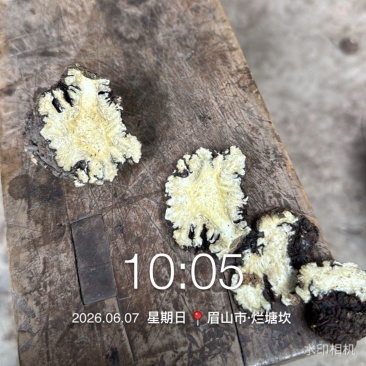 干货川芎鲜货
