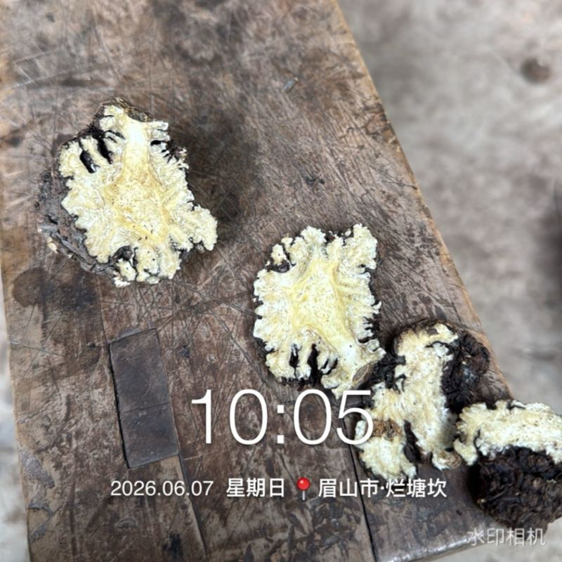 干货川芎鲜货