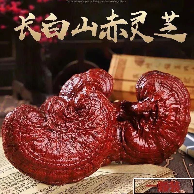 优质灵芝东北吉林灵芝赤灵片灵芝个子芝干货正品赤灵芝灵芝大