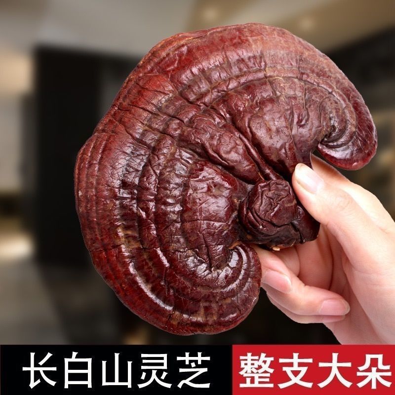 优质灵芝东北吉林灵芝赤灵片灵芝个子芝干货正品赤灵芝灵芝大