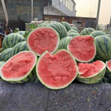 【优选西瓜】河南夏邑无籽美都西瓜-产地直发-大量供应