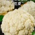 精品花菜大量供应中，面白根干净。可以散装打袋子，装泡沫