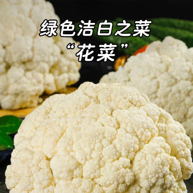 精品花菜大量供应中，面白根干净。可以散装打袋子，装泡沫