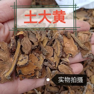 土大黄中药材正品土大黄品质保证冷背中药材专营