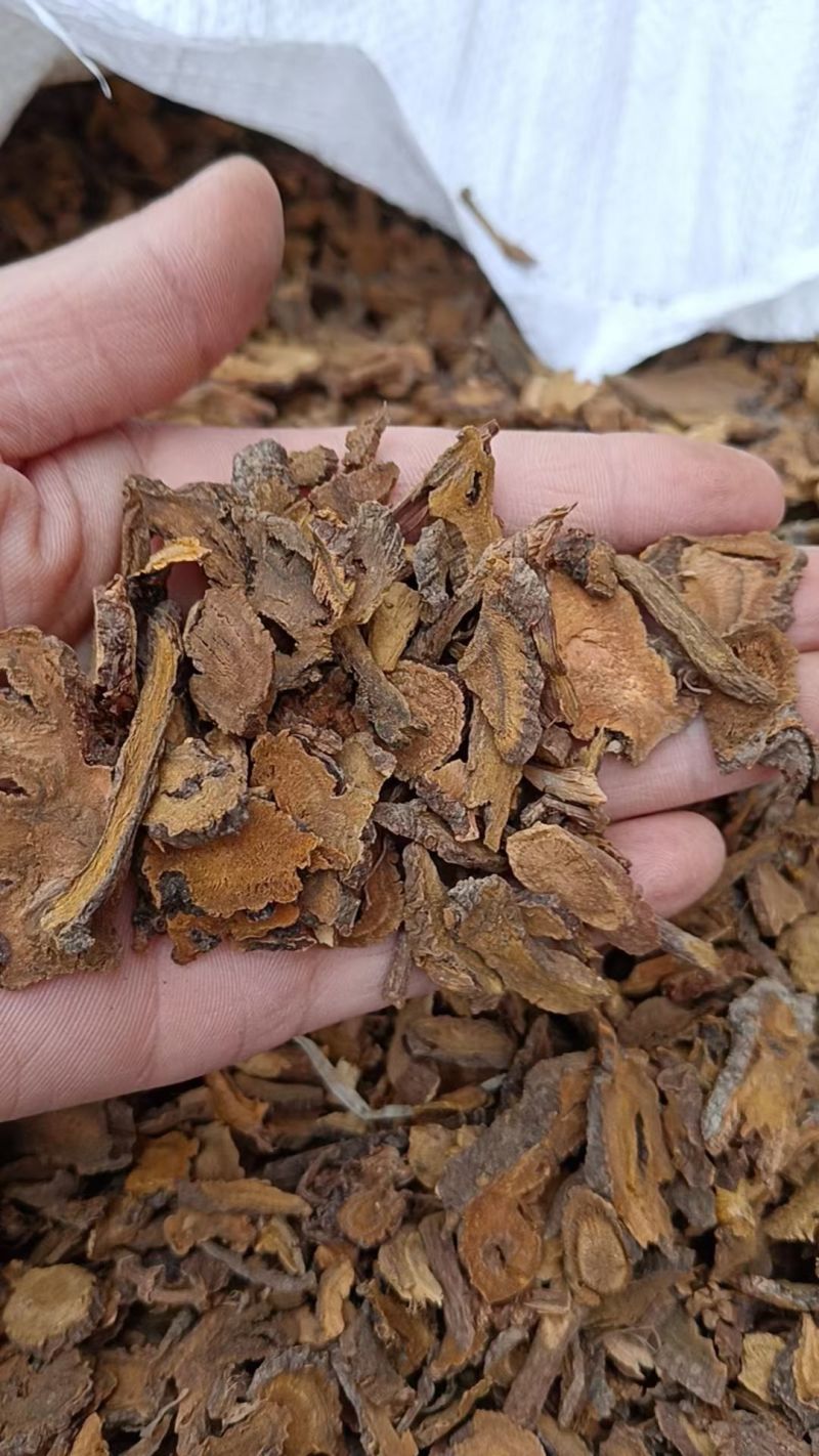 土大黄中药材正品土大黄品质保证冷背中药材专营