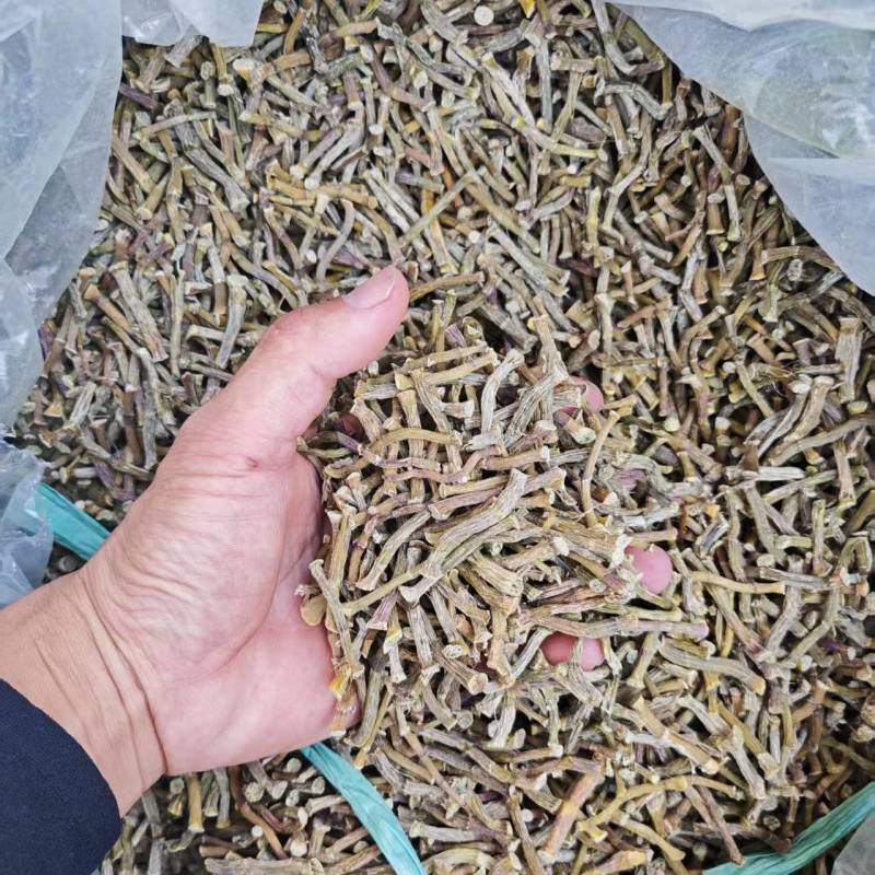 铁皮石斛寸条