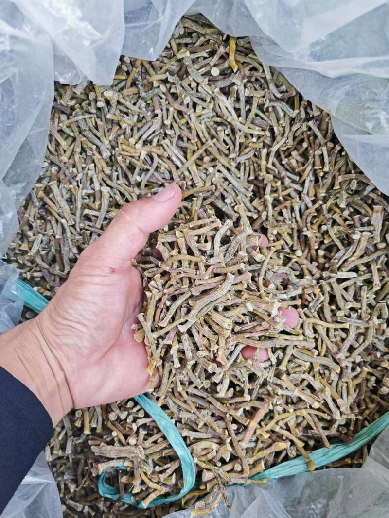 铁皮石斛寸条