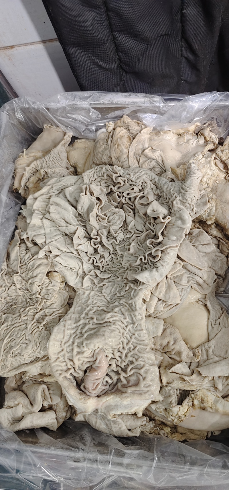 【牛伞带】当地草原黄牛的水肚，紧水去油、箱装量大优
