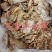 【牛伞带】当地草原黄牛的水肚，紧水去油、箱装量大优