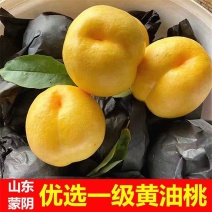 山东蒙阴黄桃一件代发包邮包售后对接电商品质源头供应