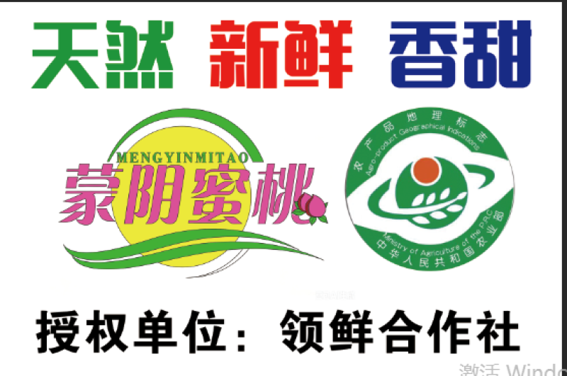 蒙阴黄桃新鲜水果超甜黄毛桃原生态多汁桃子大黄桃有地理标志