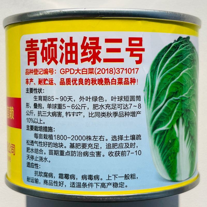 青硕油绿三号大白菜种子优质高产耐贮抗三大病害农家秋