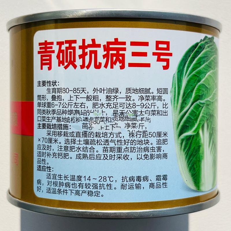 青硕油绿三号大白菜种子优质高产耐贮抗三大病害农家秋