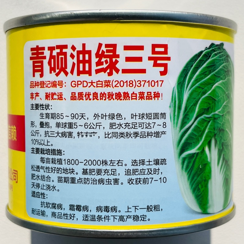 青硕抗病三号大白菜种子高产抗病好吃耐贮运晚熟春秋播大白菜